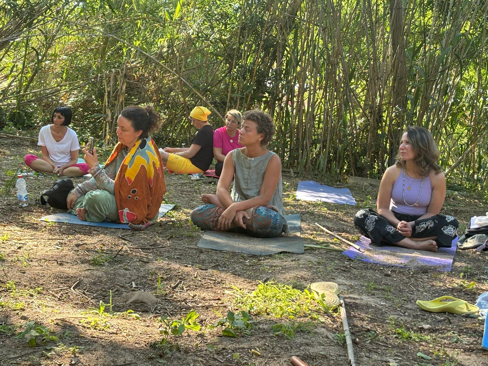 Meditazione nel bosco