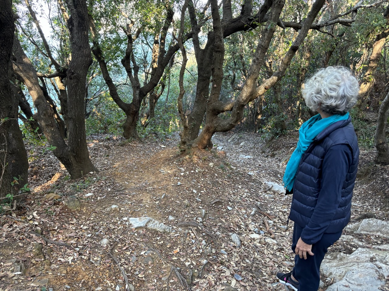 Figura davanti al bosco all'Isola d'Elba