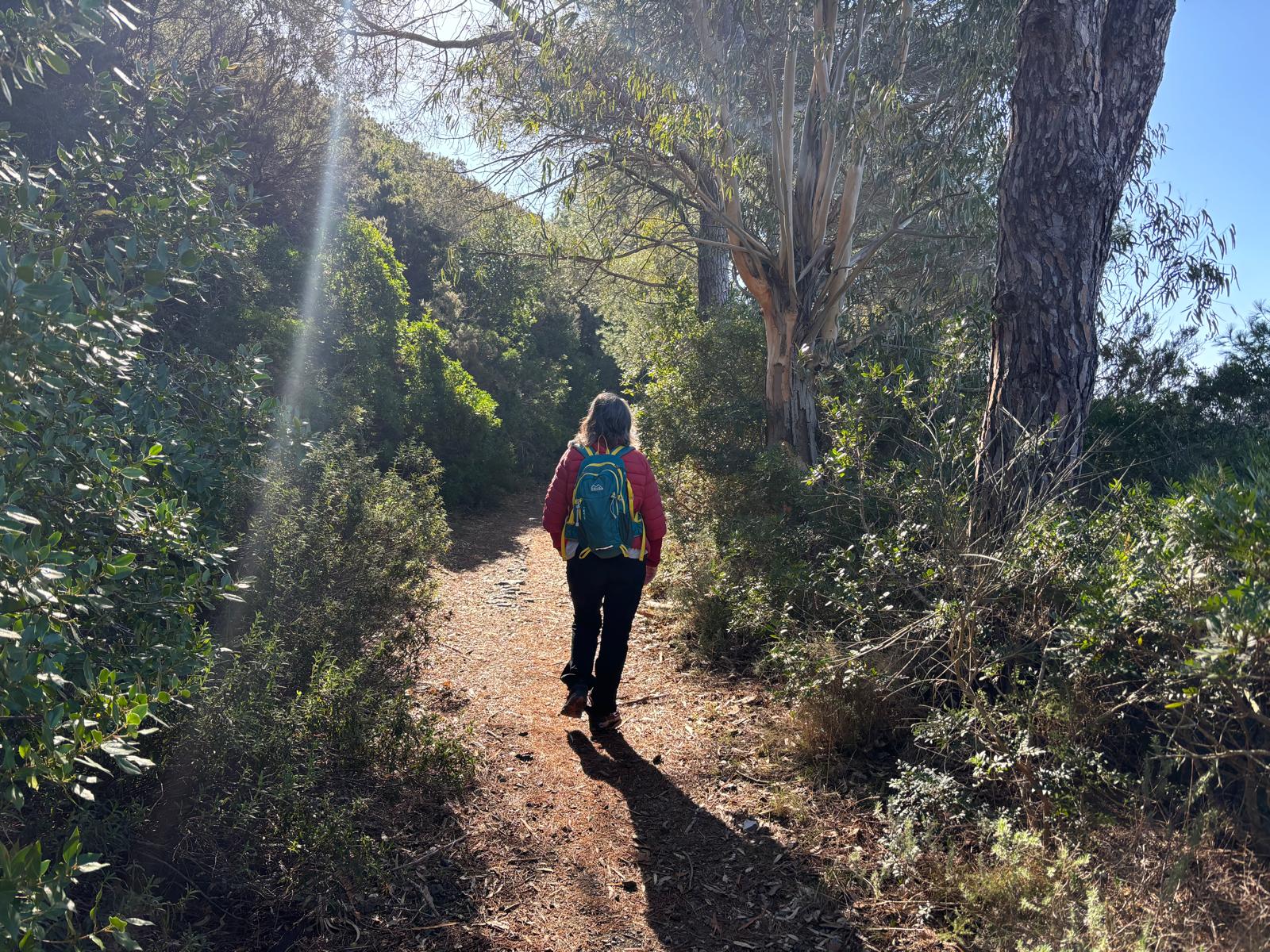 Camminata nel bosco all’Isola d’Elba