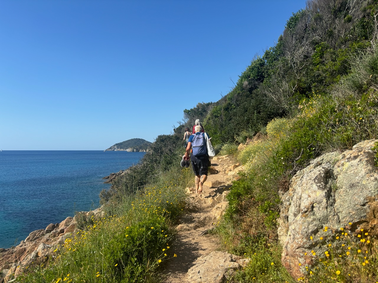 Sentiero tra il bosco e il mare all'Isola d'Elba