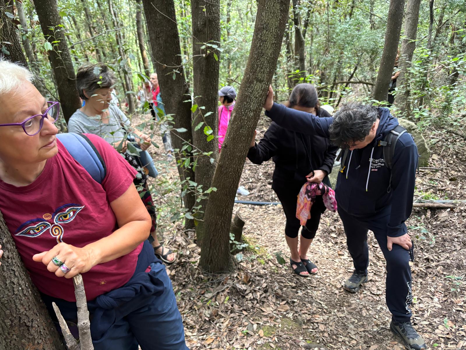 Pratica di Shinrin Yoku nel bosco